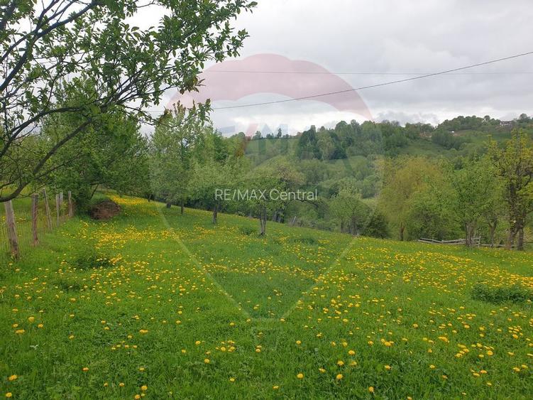 COMISION 0% | Teren 2,000mp Bran | Strada Clincea | - 4