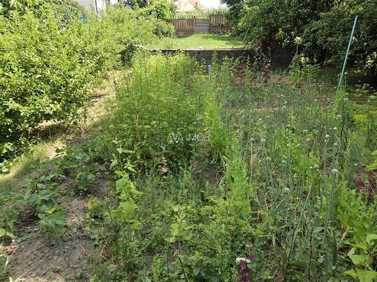 Casa spatioasa de vanzare in centrul satului Racaciuni – teren generos, livada, - 10