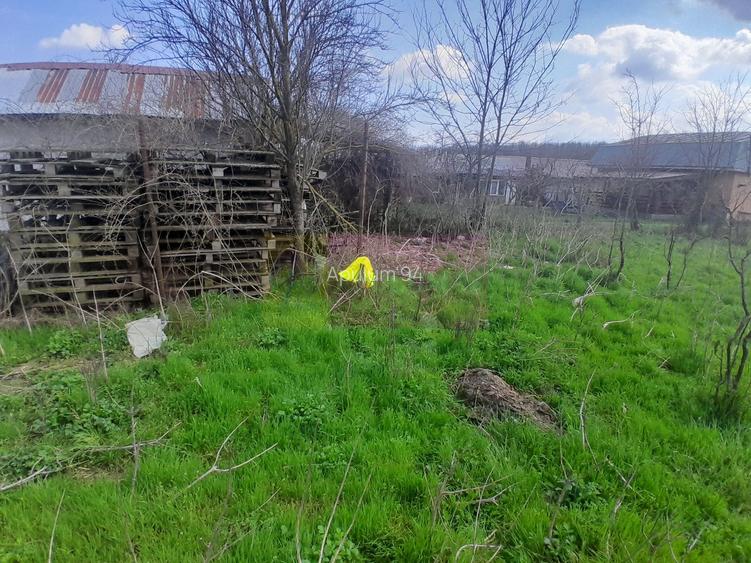 DE VANZARE TEREN 3400 MP IN SAT PODU ILFOVAT / COM BUTURUGENI (GR) - 29