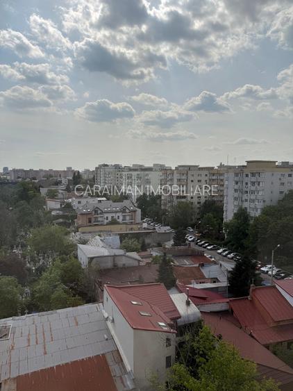 Teiul Doamnei - Maica Domnului - strada Otesani - 10 min metrou Obor - 11