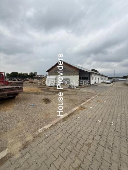 Vanzare  2 Hale Spatii Industriale Puchenii Mari - 4