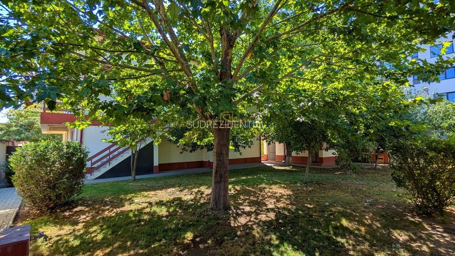 Vila in zona Berceni-Grand Arena, P+1+M, cu 1500 mp teren - 17