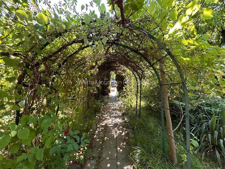 Casa versatila, cu potential real de investitie Sacele - 18