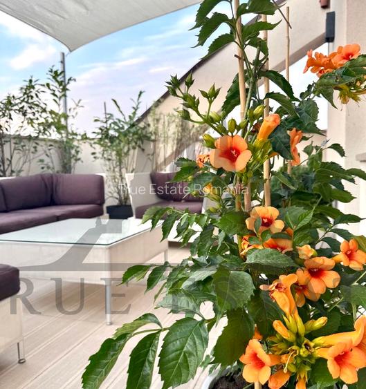 Penthouse in zona Timpuri Noi Square cu terasa de 57.2 mp si doua garaje - 10