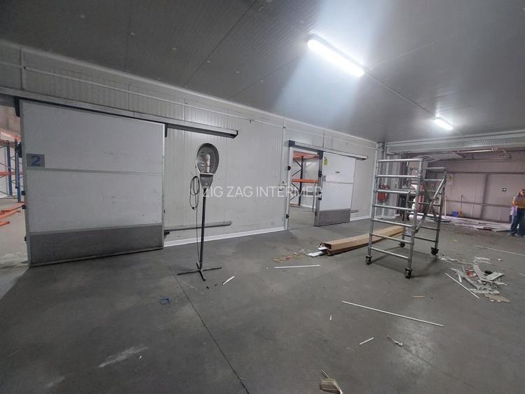 Zona Industriala , hala frigorifica 527 mp. - 6