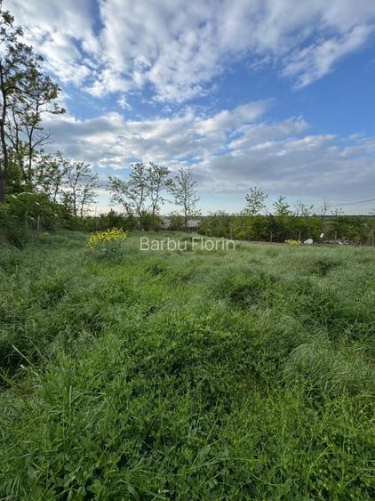 Casa  (30 min de Bucuresti) în Tamadau (lângă lacul Mostistea) cu teren 850 m - 8