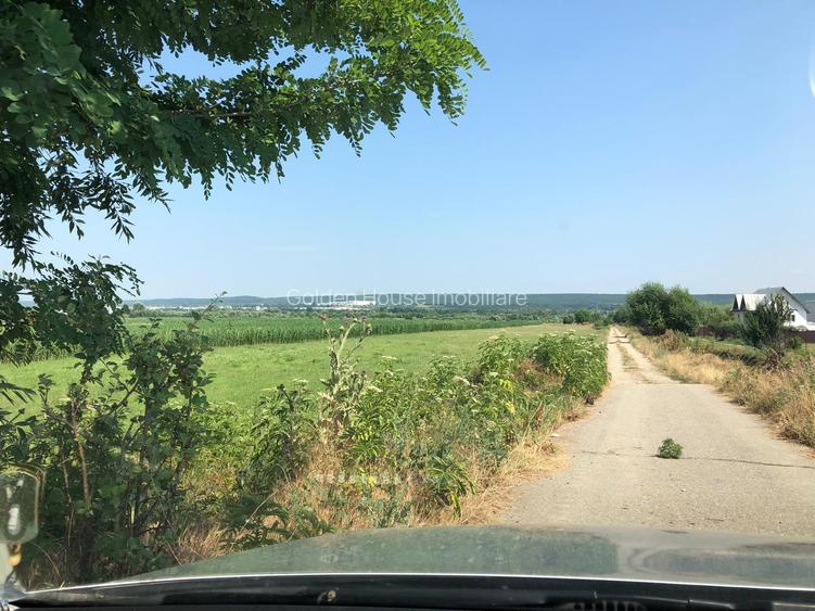 Teren Micesti cu deschidere la DN si drum lateral - 25 euro/mp negociabil - 8