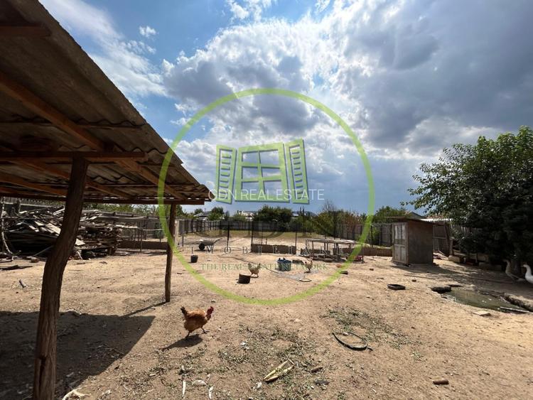 Casa Parter, 1432 MP teren,140 utili , Isalnita - 14