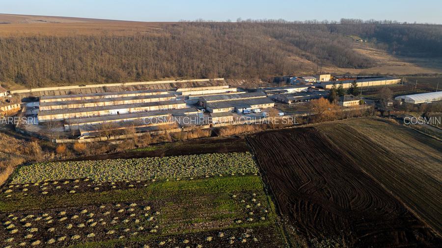 Fosta Ferma a Partidului de la Horgesti - de vanzare - 21