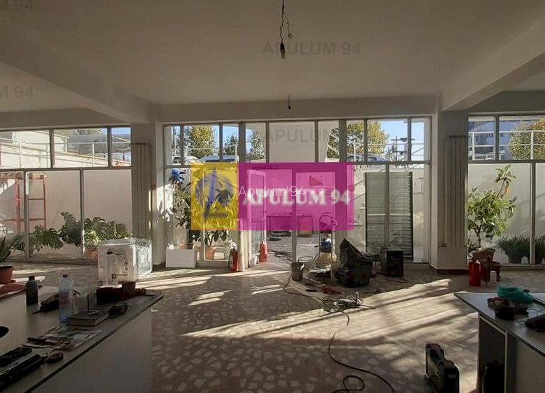 Centru de afaceri cu vad comercial - 6