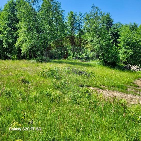 Oază de liniște – teren de vânzare 6.725 mp - 3