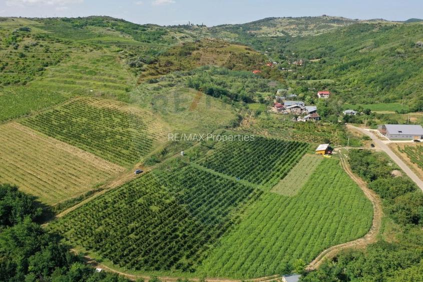 Oportunitate de investitie - Teren de vanzare I 4 ha I certificat ECO - 2