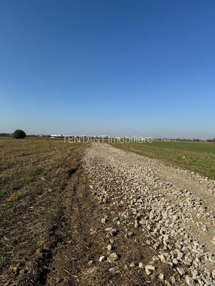 Vanzare Teren   construibil 420mp Magurele Varteju - 4