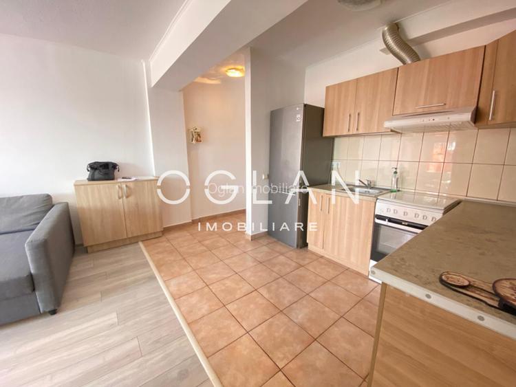 Apartament 2 camere, mobilat/utilat, zona Doamna Stanca - 5