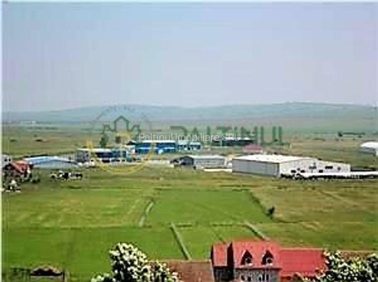 Teren de vanzare 6000 mp în Sibiu, Sura Mică - 6