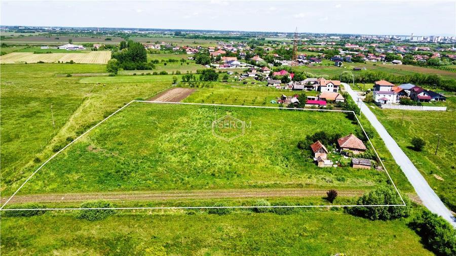 Teren generos si versatil - 10.850 mp | Balta Blonda | Diverse proiecte - 6
