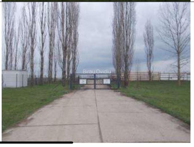 HUB Logistic intermodal 9,1 ha acces direct la DN 59/E70 JEBEL ,Timis - 2