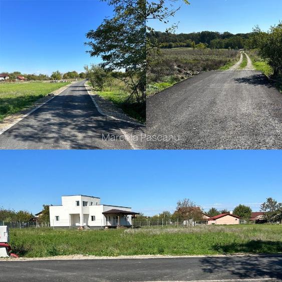 Vânzare URGENT Teren Ciofliceni Snagov Mănăstire  - 3