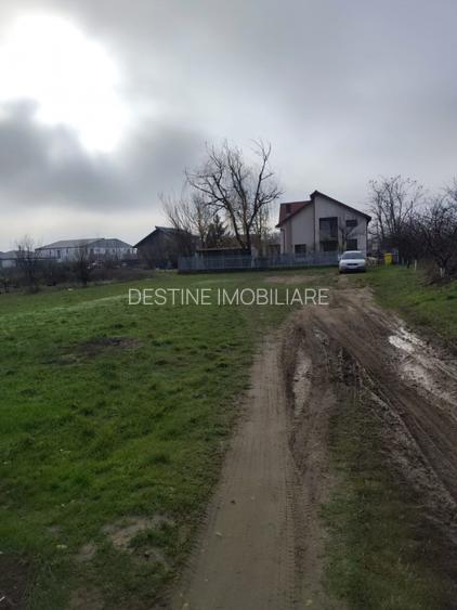 TEREN DE VANZARE DOMNESTI, 600 mp - 5