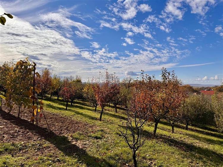 Proprietatea deosebita cu 4000mp teren, Barnova - 10