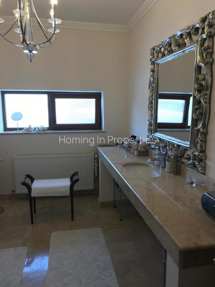 Luxury Residence with Pool and 1000 sqm Garden | Iancu Nicolae - 15