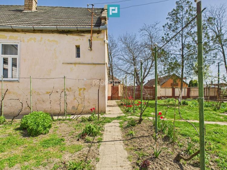 Casă cu grădină mare la 30 km de Timișoara - 22