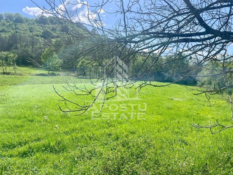 Teren intravilan, partial imprejmuit, eligibil grant- Pojoga, com. Zam - 6