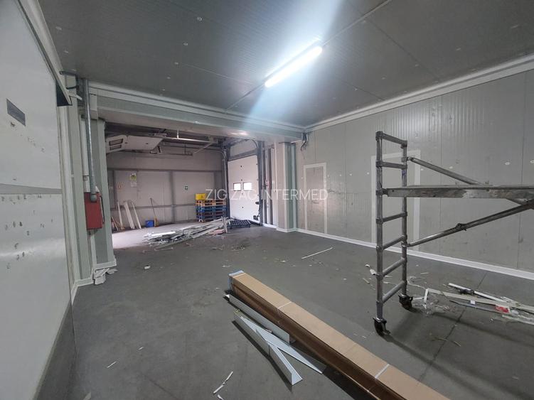 Zona Industriala , hala frigorifica 527 mp. - 21