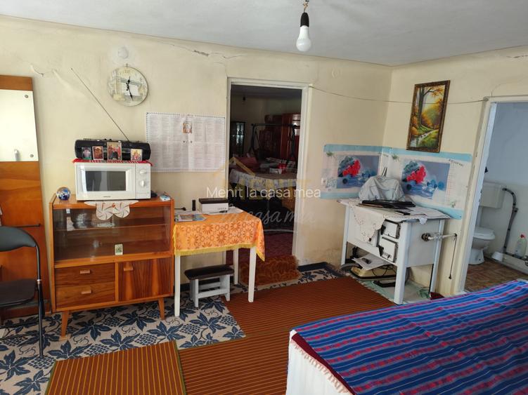 Casa Baicoi Central - 12