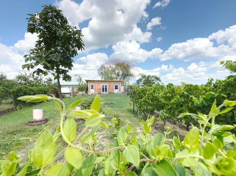 Casa de vanzare in Recas - 15