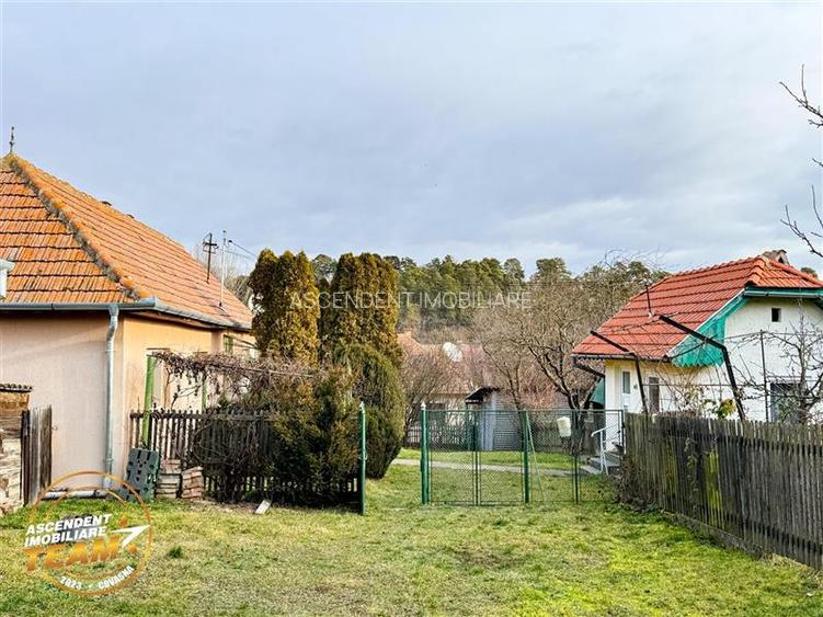 FILM! 5.000mp teren intravilan cu casuta rustica, Dalnic, Covasna - 11