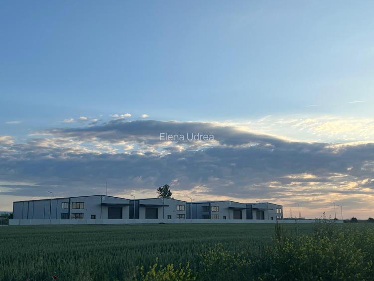 Hale de inchiriat 560 mp/buc , birouri  - 9