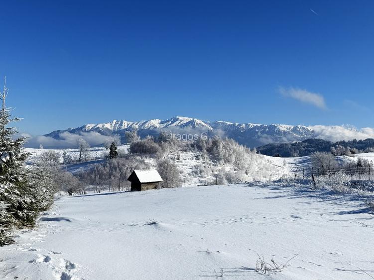 Teren satul Sirnea, intravilan, deschidere 120 m la drum asfaltat,  - 13