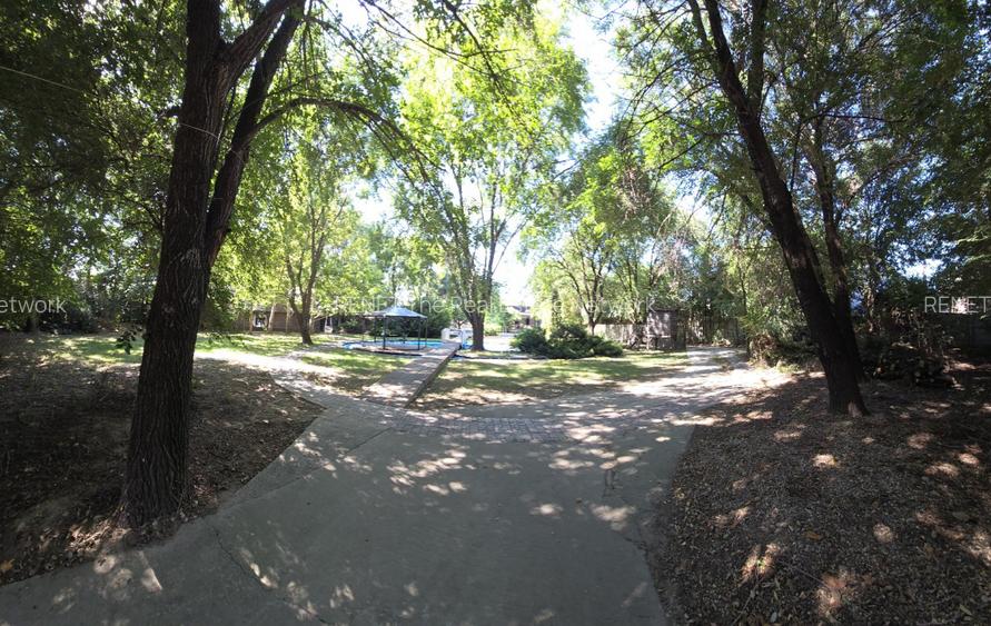 Spatiu evenimente langa Bucuresti, spatiu inchiriat cu 1500 €/luna - 13