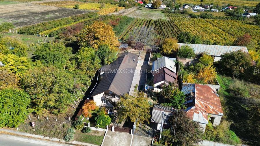 Casă Tifesti teren si vie - 36