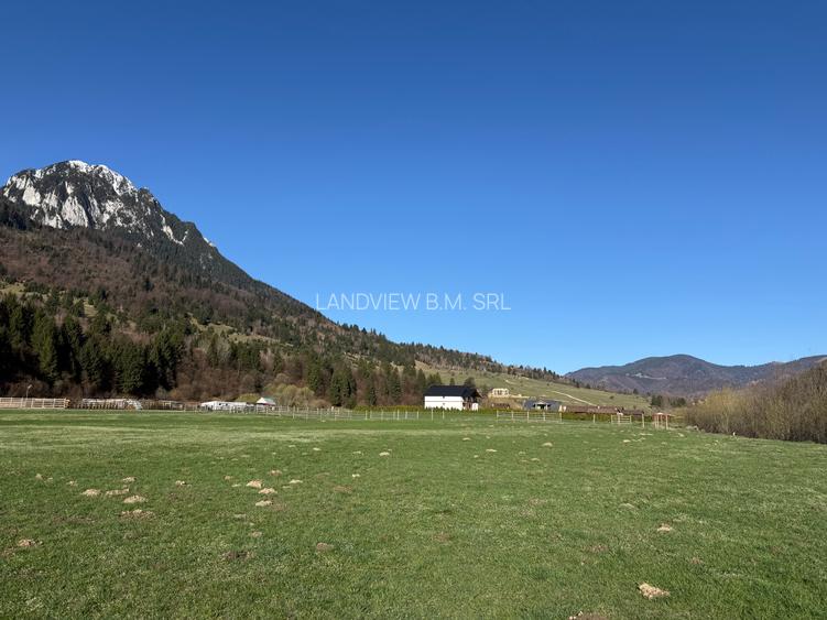 Teren intravilan In Zarnesti zona Plaiul Foii deschidere asfalt si priveliste - 9