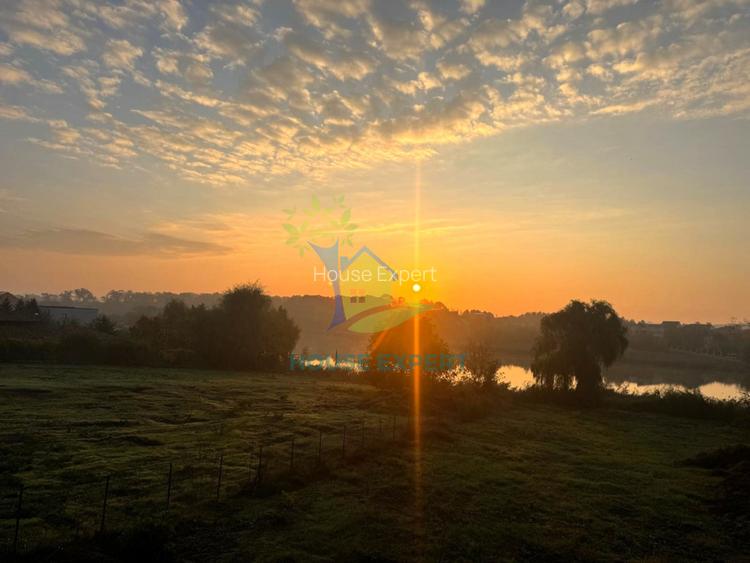 Vila deosebita Corbeanca, 5 camere, teren 526 mp, toate utilitatile, vedere lac! - 14