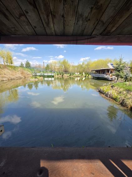 Vând teren cu iaz și livadă de nuci – Ilișești, aproape de Suceava - 14