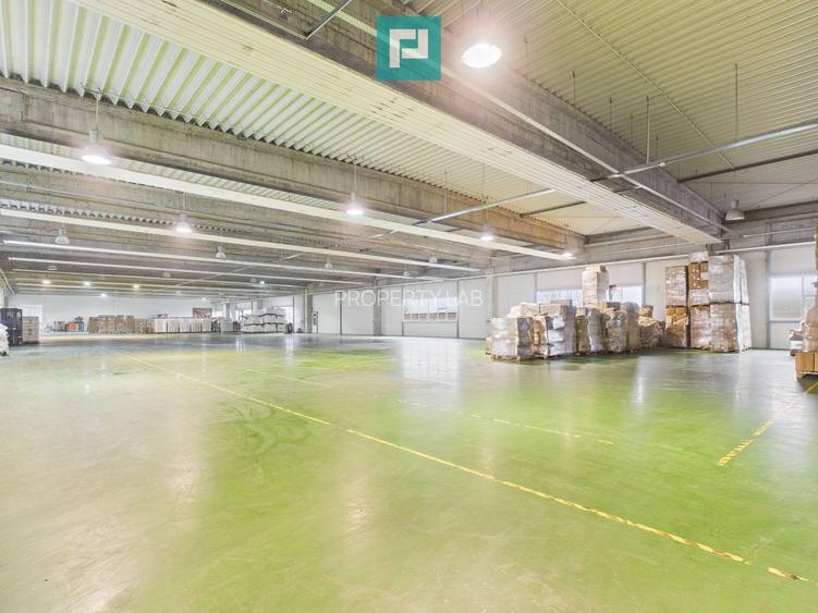 Hală industrială de 4.155 mp Calea Borșului - 19