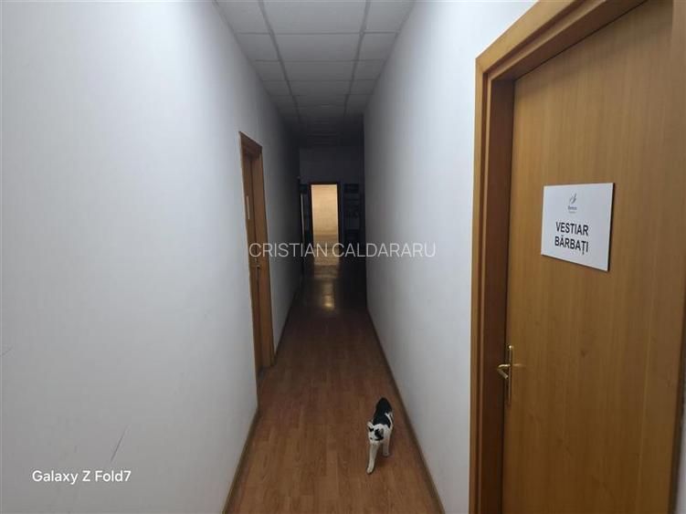 Inchiriere depozit/spatiu industrial/hala Basarabia - Faur - 7