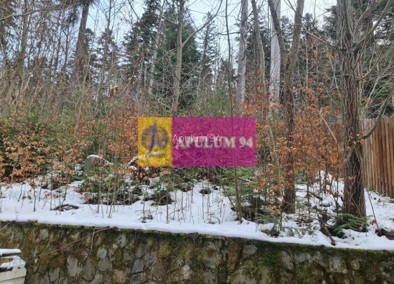 Vilă de vânzare in Sinaia - Zona Cumpătu - 21