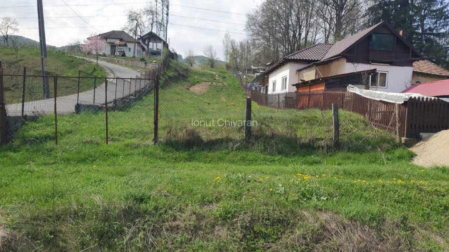 Proprietate deosebită 5000 mp în Slătioara (Vâlcea) – Intabulat cu Pădure  - 4