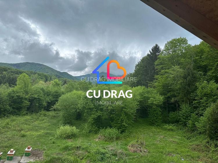 Investiție cu suflet: Pensiune de vânzare pe Valea Avrigului - 8
