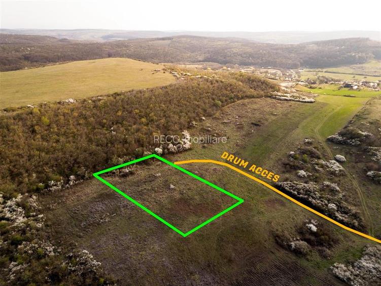 RECO Teren exclusivist 1800 mp in Betfia – panorama superba - 3