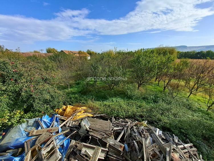 Vând teren intravilan si 2 imobile constructii - 6