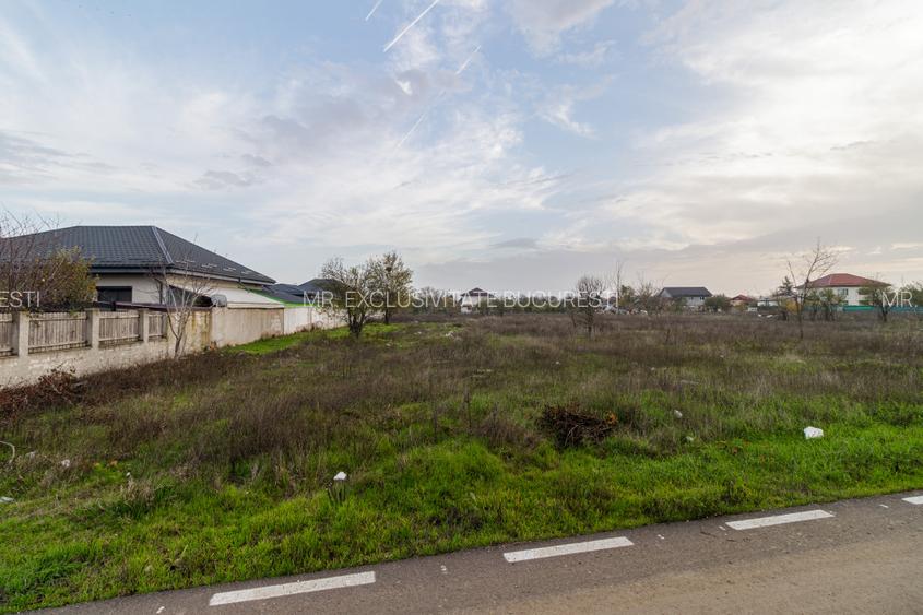 Teren intravilan 634 mp Domnești - 3