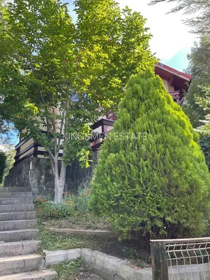 Casa de vacanta cocheta in Cornu renovata 2023! - 3