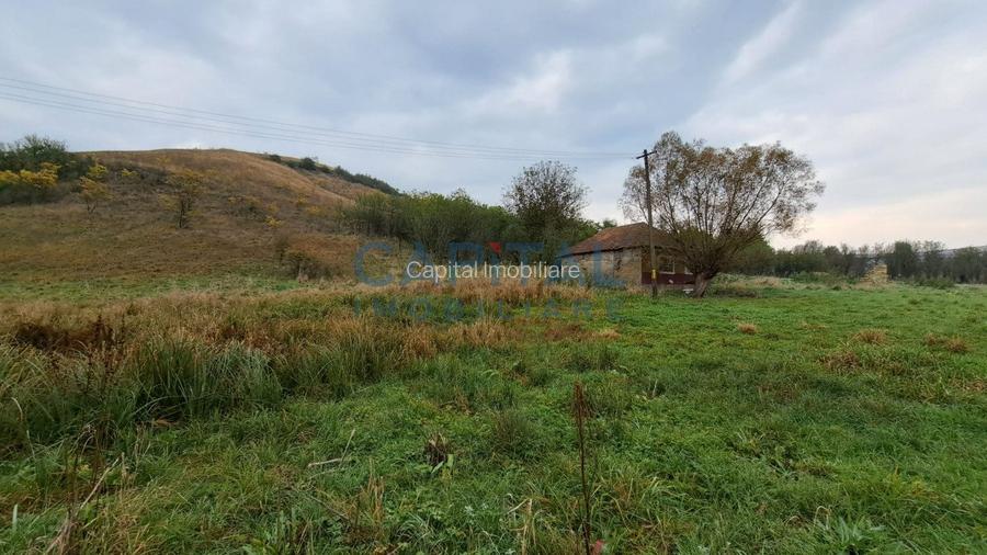 Teren plan 4800 mp cu casa demolabila, centru Corpadea, Apahida - 10