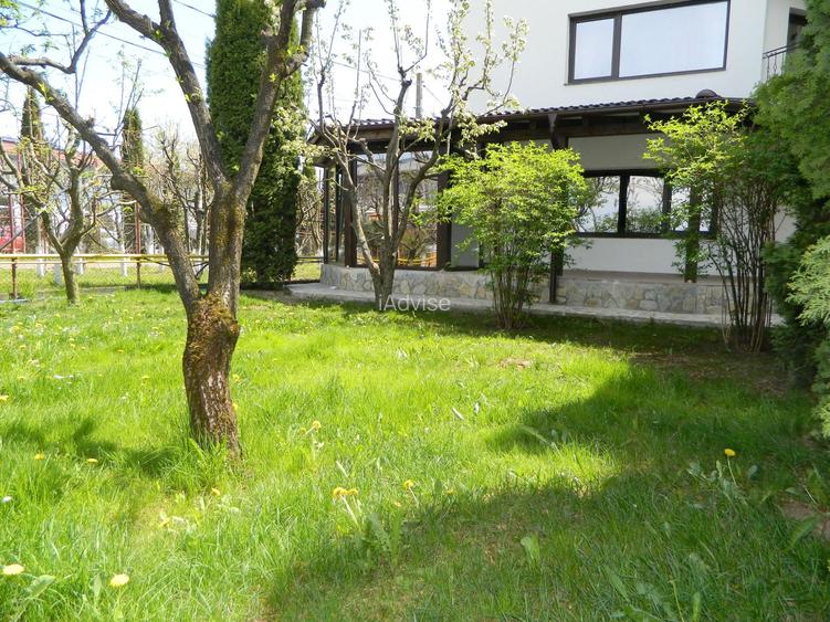 Apartamet 4 Camere Parter Casa Bartolomeu - 19