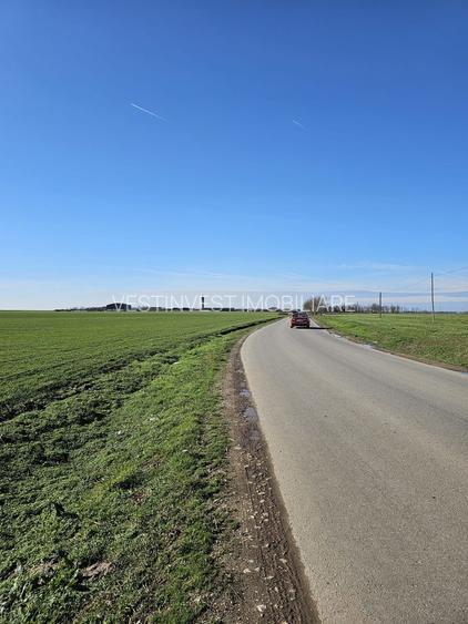 Teren extravilan 8600 mp Livada de Bihor - 2